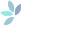 Paidfi by Jenfi